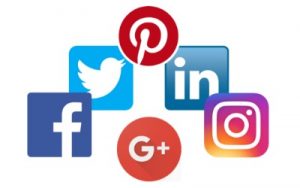 Digital Marketing Support in East Sussex