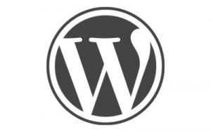 Website Support using WordPress in East Sussex