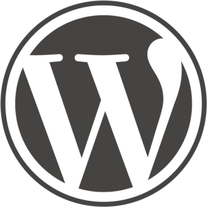 WordPress website support