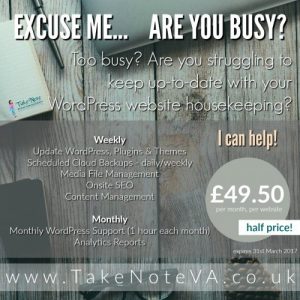 WordPress support every month for business men and women